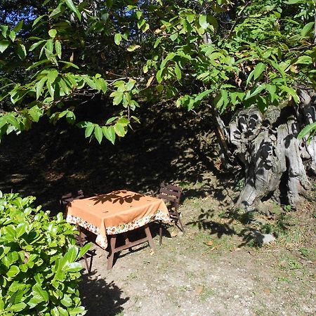 Fattoria Il Praticino Villa Castelfranco di Sopra Ngoại thất bức ảnh