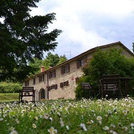 Fattoria Il Praticino Villa Castelfranco di Sopra Ngoại thất bức ảnh