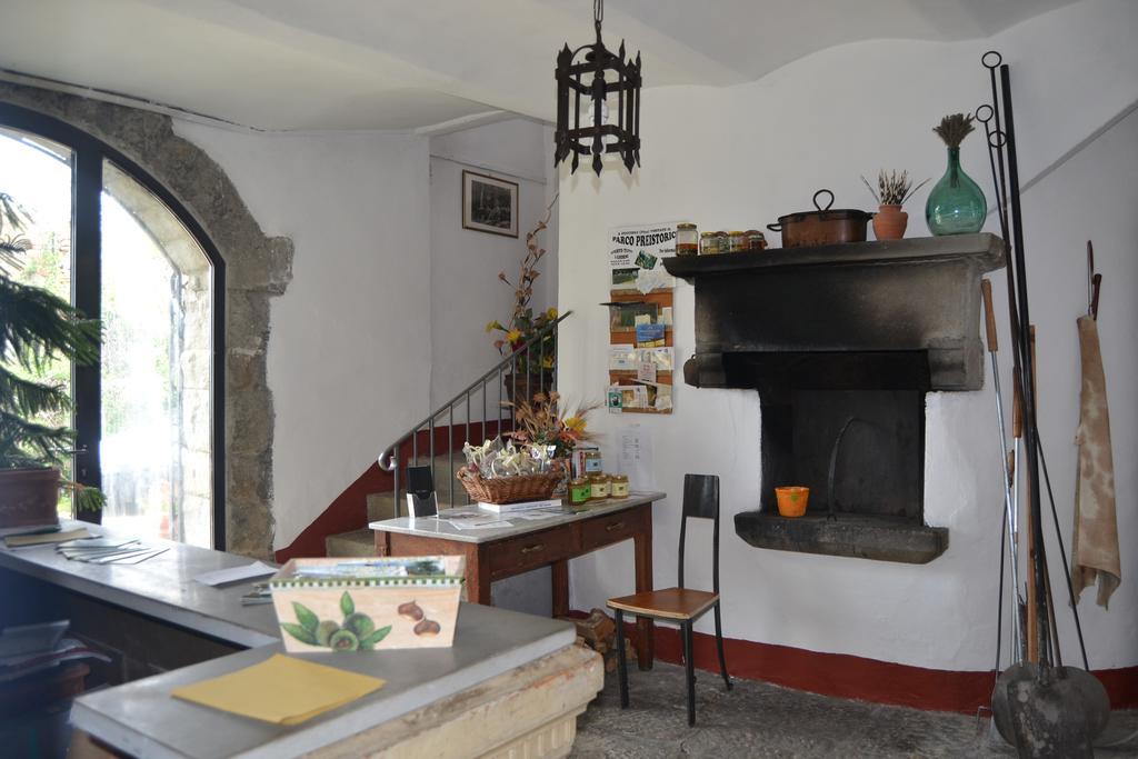 Fattoria Il Praticino Villa Castelfranco di Sopra Ngoại thất bức ảnh