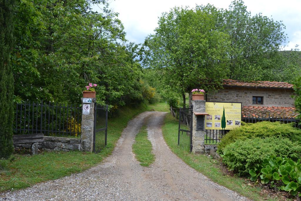 Fattoria Il Praticino Villa Castelfranco di Sopra Ngoại thất bức ảnh