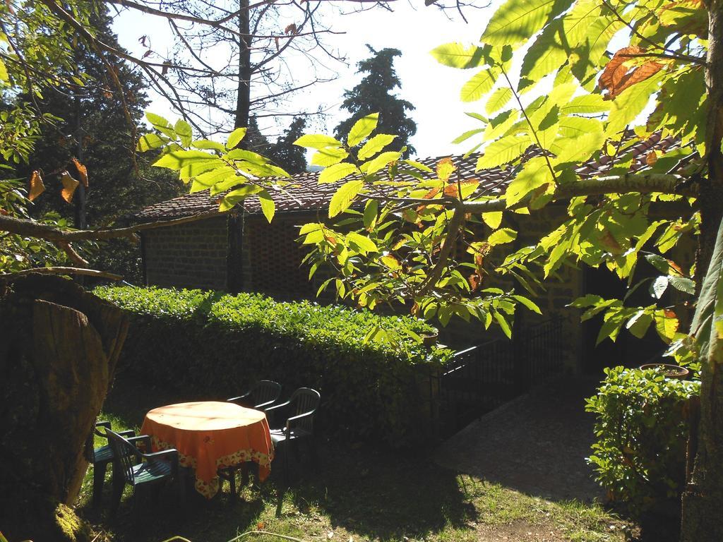 Fattoria Il Praticino Villa Castelfranco di Sopra Ngoại thất bức ảnh